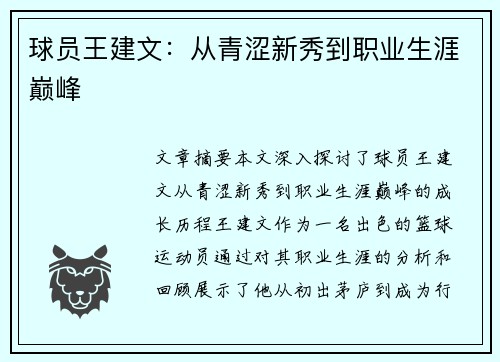 球员王建文：从青涩新秀到职业生涯巅峰