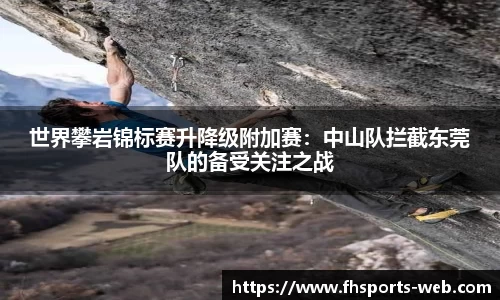 fh体育